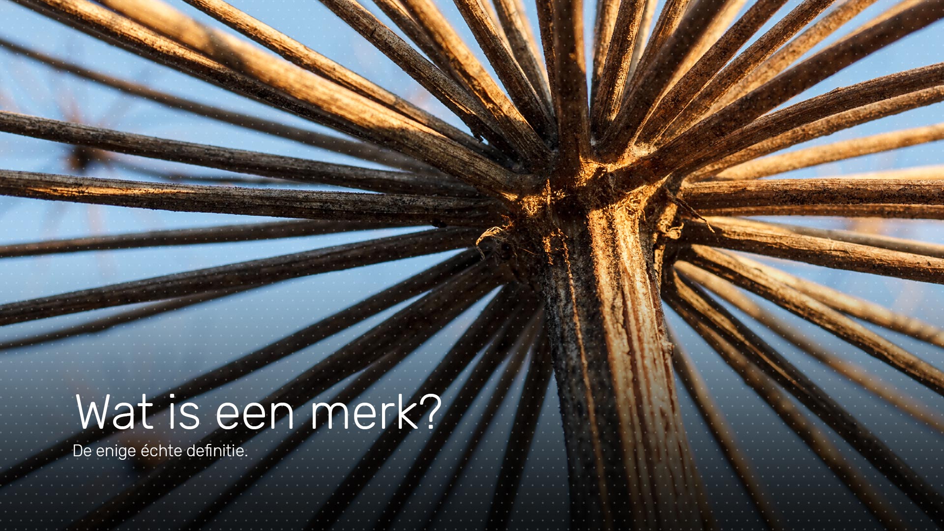 Wat is een merk? De enige échte definitie van een merk. Wat is een merk? De enige échte definitie van een merk.